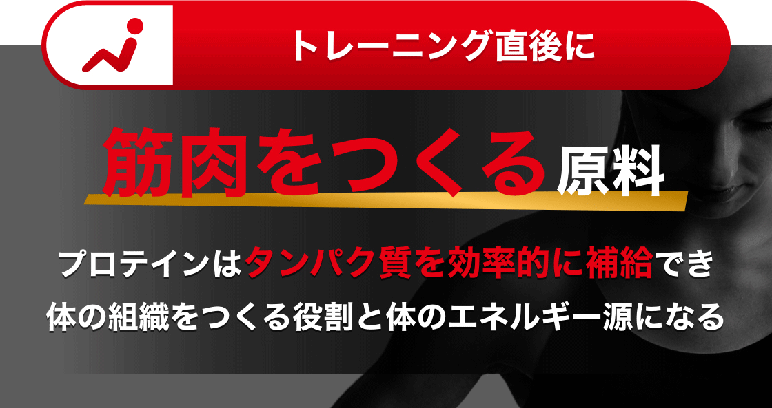 トレーニング直後に 筋肉をつくる原料 プロテインはタンパク質を効率的に補給でき体の組織をつくる役割と体のエネルギー源になる