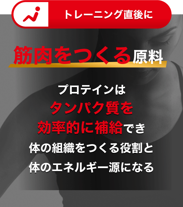 トレーニング直後に 筋肉をつくる原料 プロテインはタンパク質を効率的に補給でき体の組織をつくる役割と体のエネルギー源になる