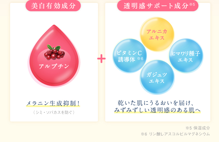 美白有効成分 透明感サポート成分