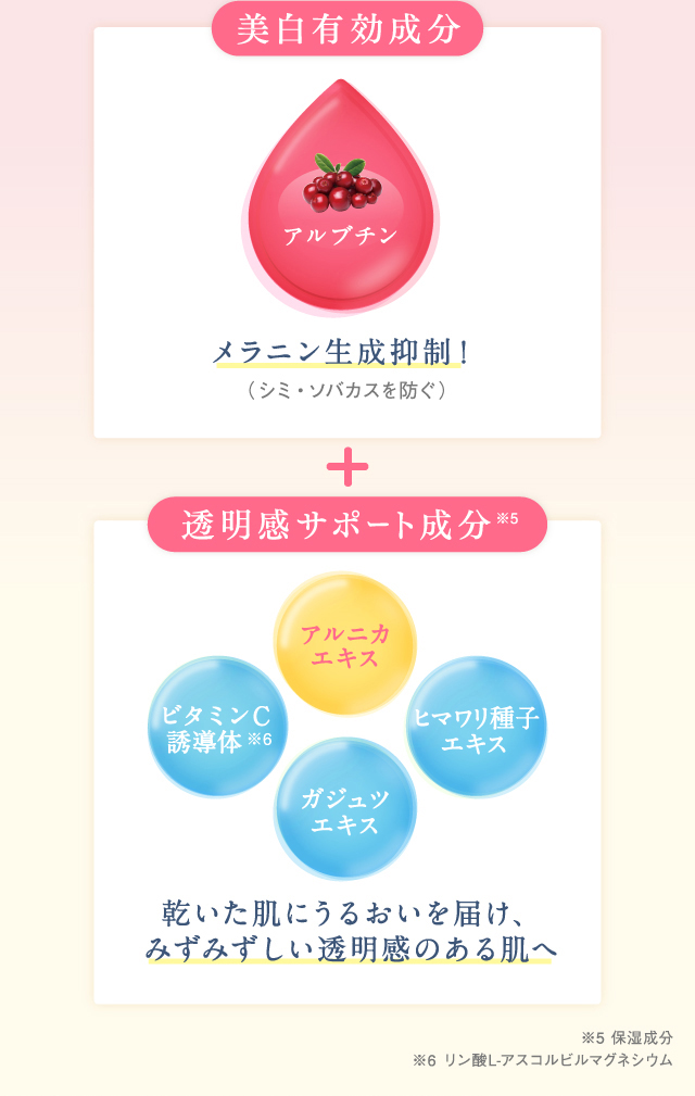 美白有効成分 透明感サポート成分