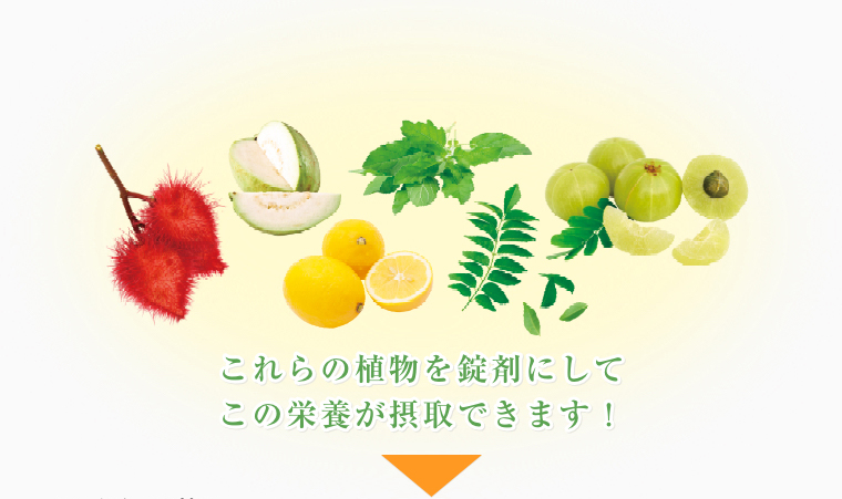 これらの植物を錠剤にしてこの栄養が摂取できます！