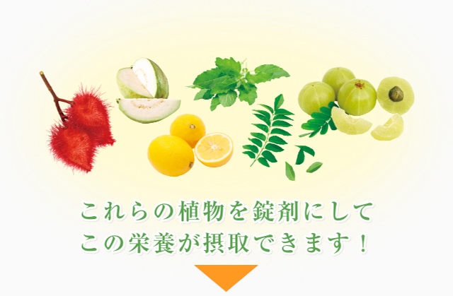 これらの植物を錠剤にしてこの栄養が摂取できます！