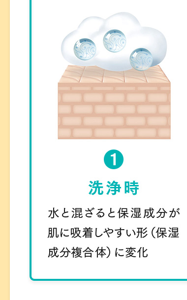 1.洗浄時 水と混ざると保湿成分が肌に吸着しやすい形（保湿成分複合体）に変化