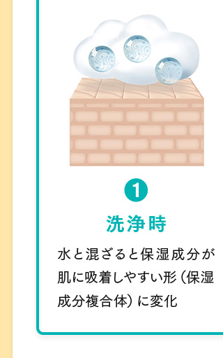 1.洗浄時 水と混ざると保湿成分が肌に吸着しやすい形（保湿成分複合体）に変化