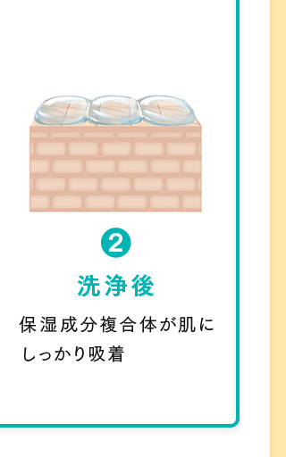 2.洗浄後 保湿成分複合体が肌にしっかり吸着