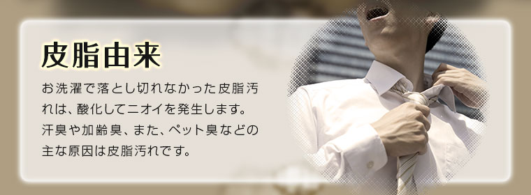 皮脂由来