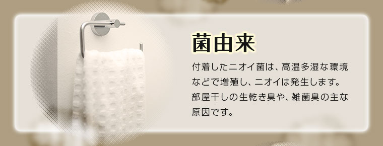 菌由来