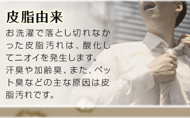 皮脂由来