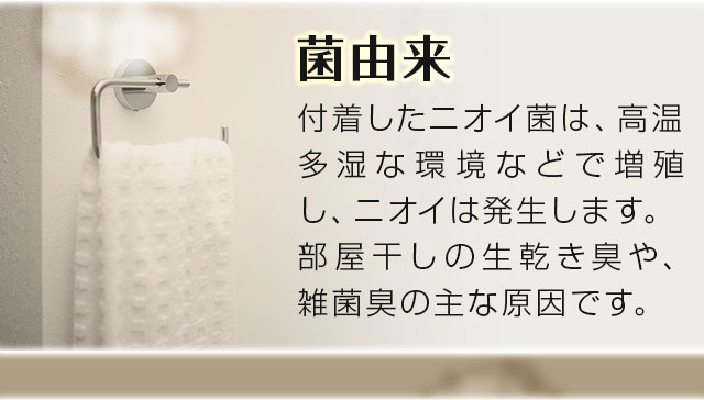菌由来