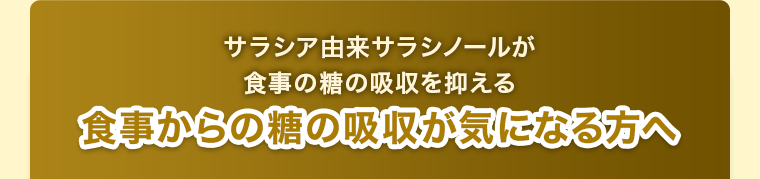 食事からの糖の吸収が 気になる方へ