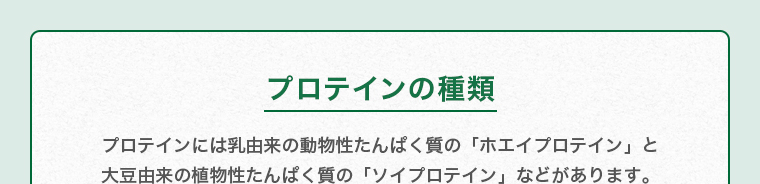プロテインの種類