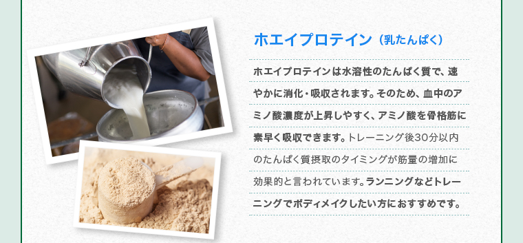 ホエイプロテイン
