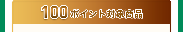 100ポイント対象商品