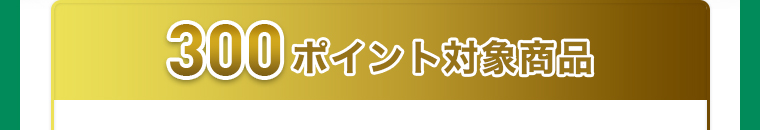 300ポイント対象商品