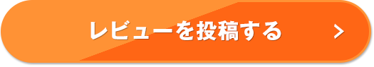 レビューを投稿する