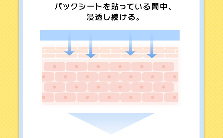 パックシートを貼っている間中、浸透し続ける。