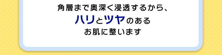 角層まで奥深く浸透するから、ハリとツヤのあるお肌に整います