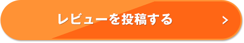 レビューを投稿する