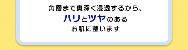 角層まで奥深く浸透するから、ハリとツヤのあるお肌に整います