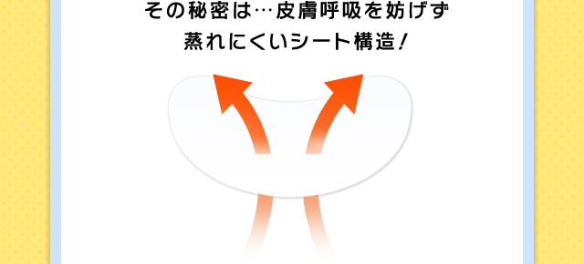 その秘密は…皮膚呼吸を妨げず蒸れにくいシート構造！