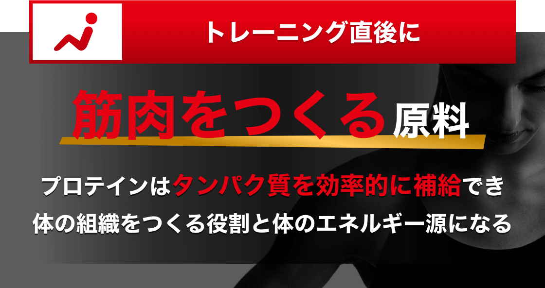 トレーニング直後に 筋肉をつくる原料 プロテインはタンパク質を効率的に補給でき体の組織をつくる役割と体のエネルギー源になる