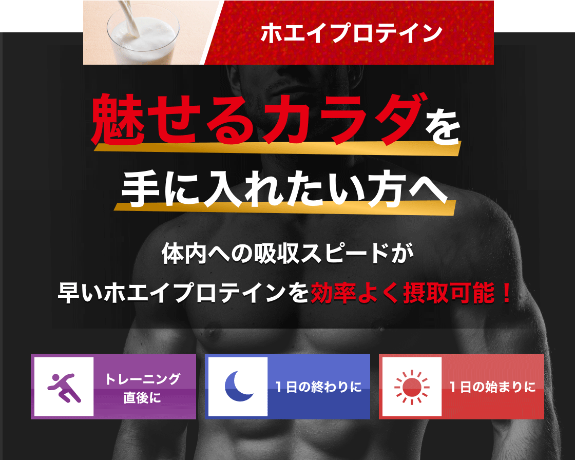 ホエイプロテイン 魅せるカラダを手に入れたい方へ体内への吸収スピードが早いホエイプロテインを効率よく摂取可能！