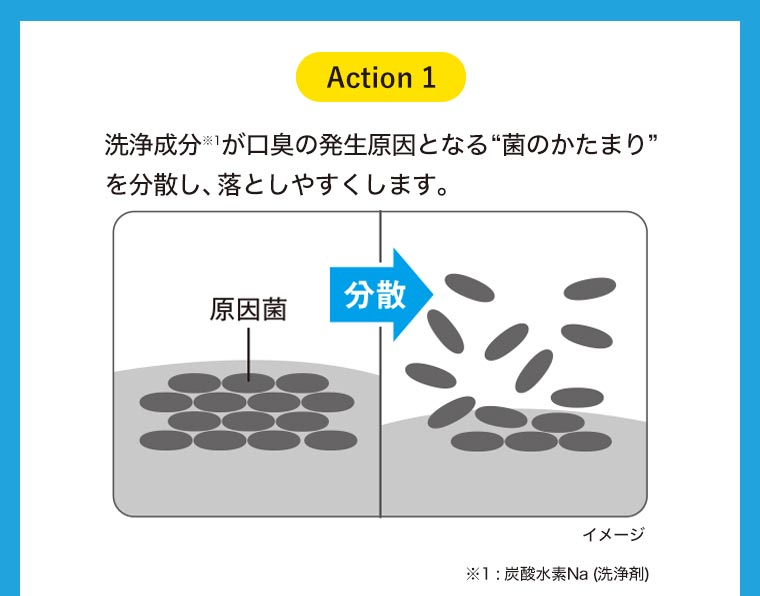 洗浄成分※1が口臭の発生原因となる菌のかたまりを分散し、落としやすくします。