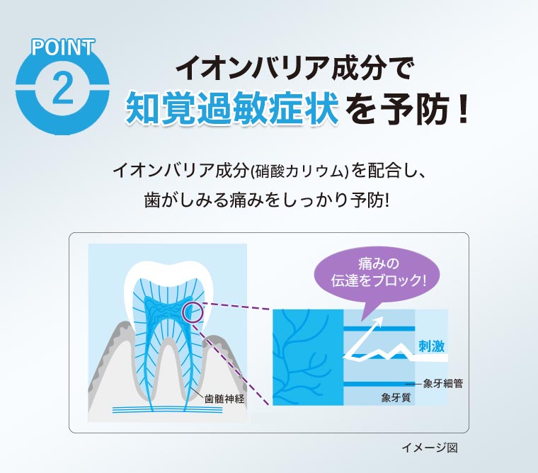 イオンバリア成分で知覚過敏症状を予防!