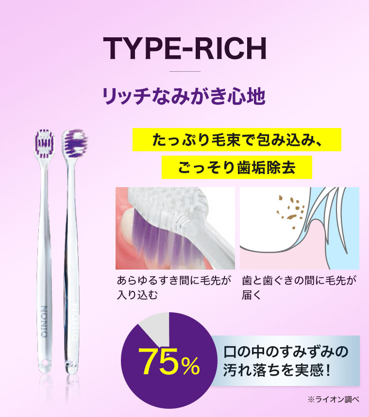 TYPE-RICHリッチなみがき心地