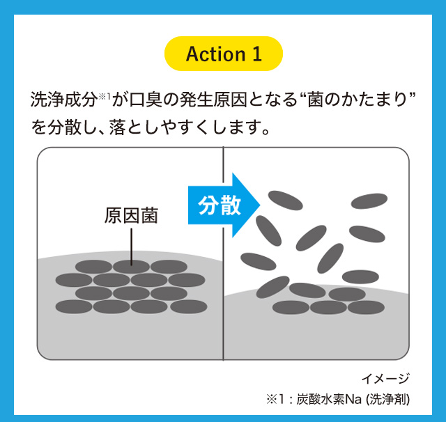 洗浄成分※1が口臭の発生原因となる菌のかたまりを分散し、落としやすくします。