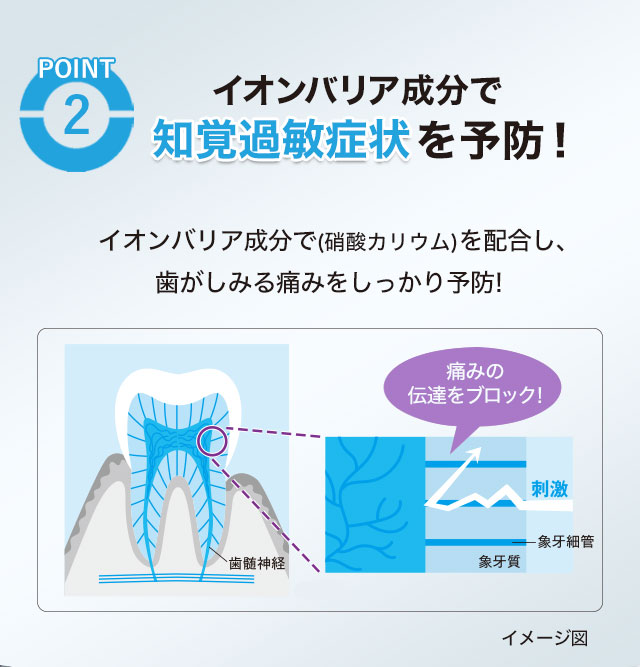 イオンバリア成分で知覚過敏症状を予防!