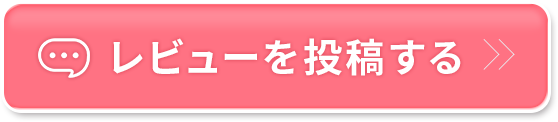 レビューを投稿する