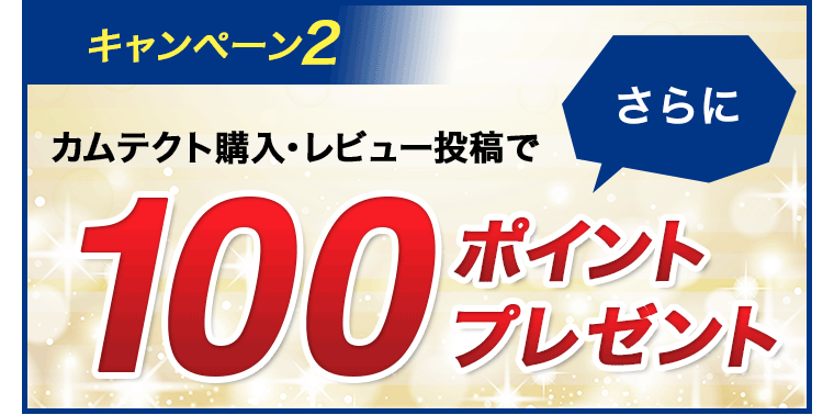 キャンペーン2 カムテクト購入・レビュー投稿でさらに100ポイントプレゼント