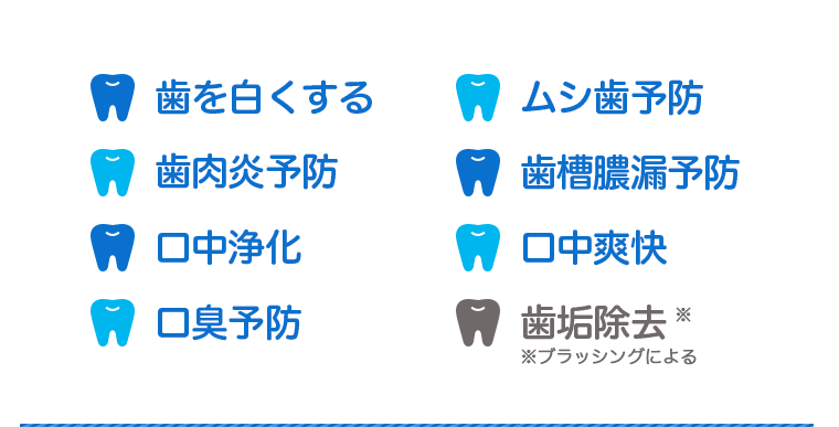 歯を白くする 虫歯予防 歯肉炎予防 歯槽膿漏予防 口内洗浄 口内爽快 口臭予防 歯垢除去※※ブラッシングによる