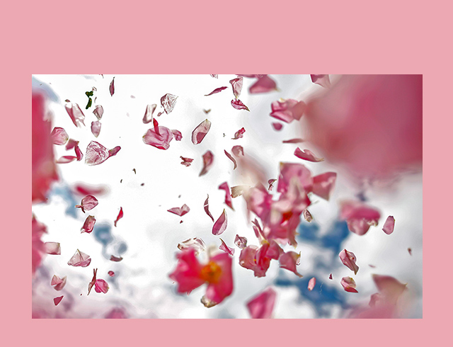 08 Feminine Flower