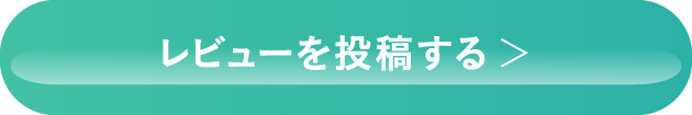 レビューを投稿する