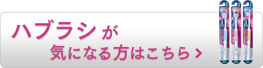 ハブラシが気になる方はこちら