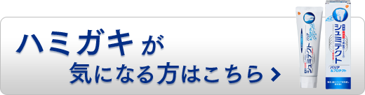 ハミガキが気になる方はこちら