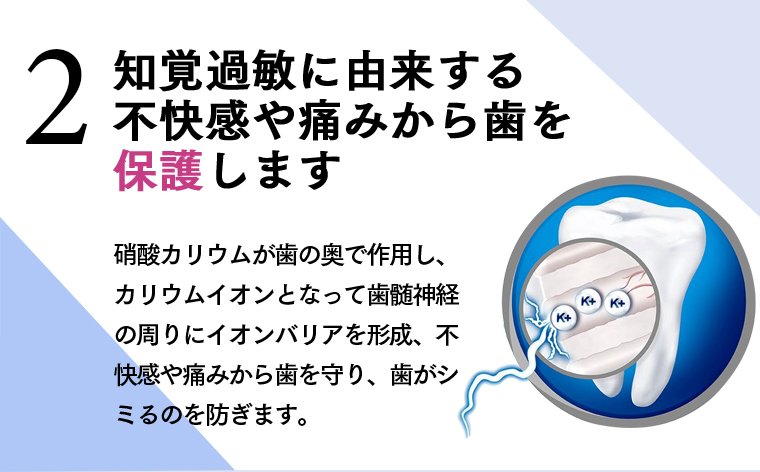 「２ 知覚過敏に由来する不快感や痛みから歯を保護します」硝酸カリウムが歯の奥で作用し、カリウムイオンとなって歯髄神経の周りにイオンバリアを形成、不快感や痛みから歯を守り、歯がシミるのを防ぎます。