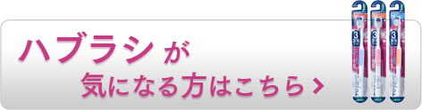 ハブラシが気になる方はこちら