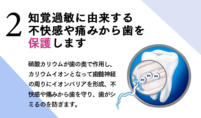 「２ 知覚過敏に由来する不快感や痛みから歯を保護します」硝酸カリウムが歯の奥で作用し、カリウムイオンとなって歯髄神経の周りにイオンバリアを形成、不快感や痛みから歯を守り、歯がシミるのを防ぎます。