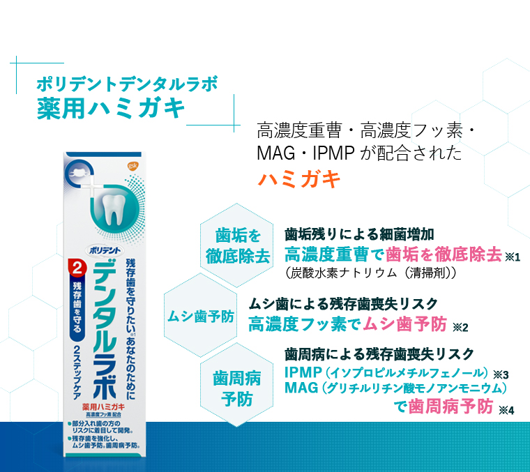 [ポリデントデンタルラボ 薬用ハミガキ]高濃度重曹・高濃度フッ素・ MAG・IPMPが配合された ハミガキ 歯垢を徹底除去※1 歯垢残りによる細菌増加 高濃度重曹で歯垢を徹底除去 （炭酸水素ナトリウム（清掃剤））ムシ歯予防 ムシ歯による残存歯喪失リスク 高濃度フッ素でムシ歯予防※2 歯周病予防 歯周病による残存歯喪失リスク IPMP（イソプロピルメチルフェノール）※3 MAG（グリチルリチン酸モノアンモニウム）で歯周病予防※4