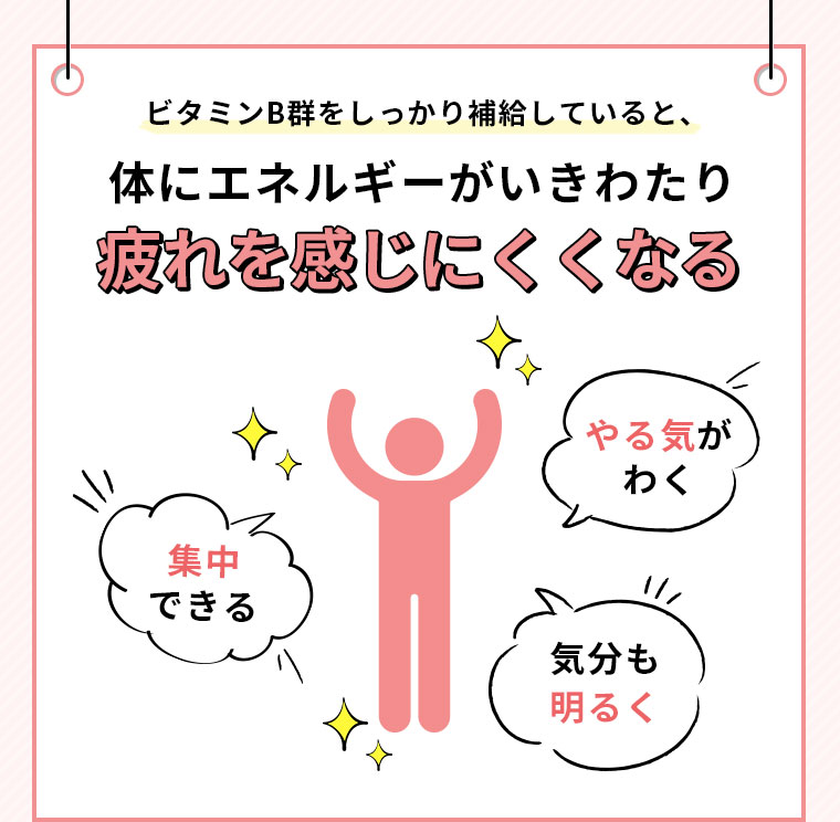 ビタミンB群をしっかり補給していると、体にエネルギーがいきわたり疲れを感じにくくなる