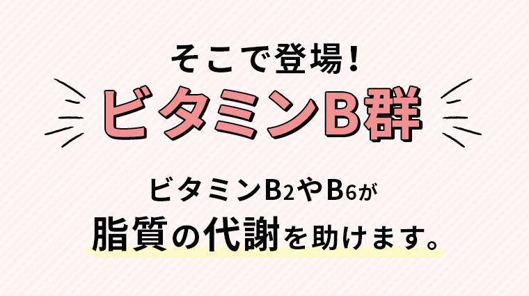 そこで登場！ビタミンB群ビタミンB2やB6が脂質の代謝を助けます。