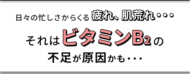 日々の忙しさからくる疲れ、肌荒れ...それはビタミンB2の不足が原因かも...