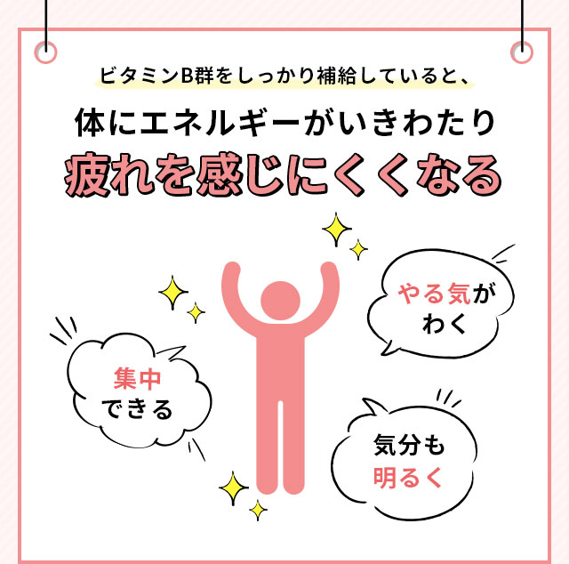 ビタミンB群をしっかり補給していると、体にエネルギーがいきわたり疲れを感じにくくなる
