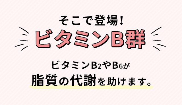 そこで登場！ビタミンB群ビタミンB2やB6が脂質の代謝を助けます。