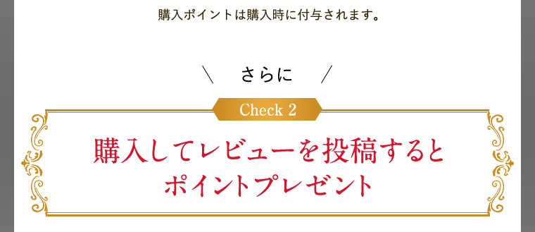 購入してレビューを投稿するとポイントプレゼント