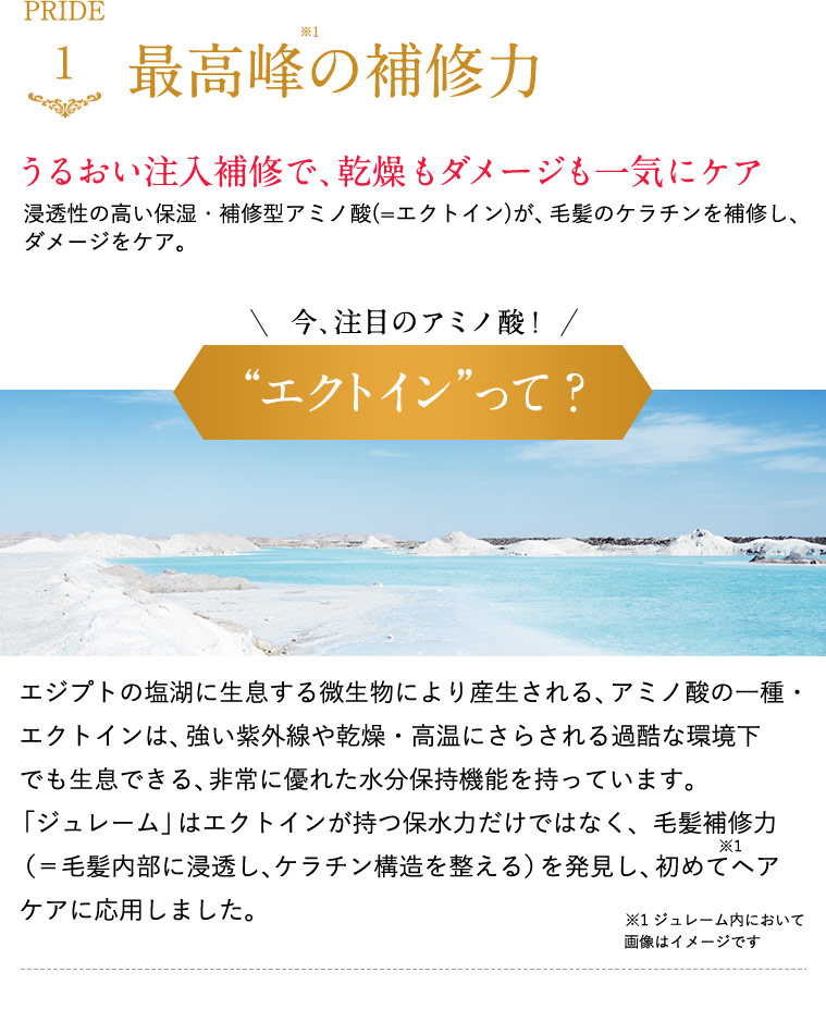 最高峰の補修力