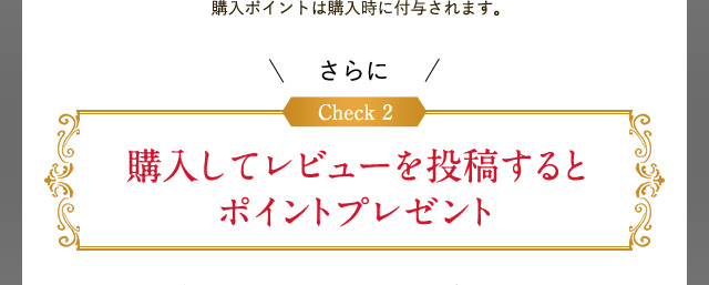 購入してレビューを投稿するとポイントプレゼント